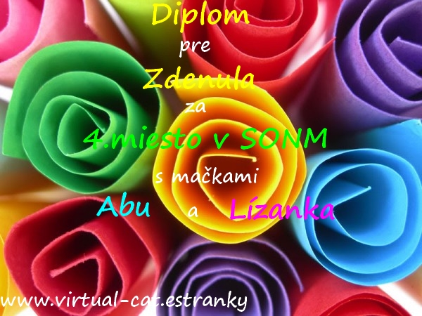 Zdenula_SONM_4.jpg