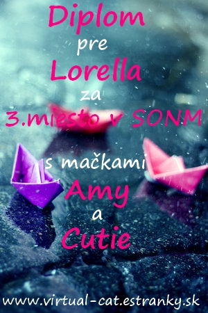 Lorella_SONM_3.jpg