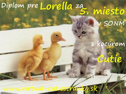 Lorella_SONM_5.jpg