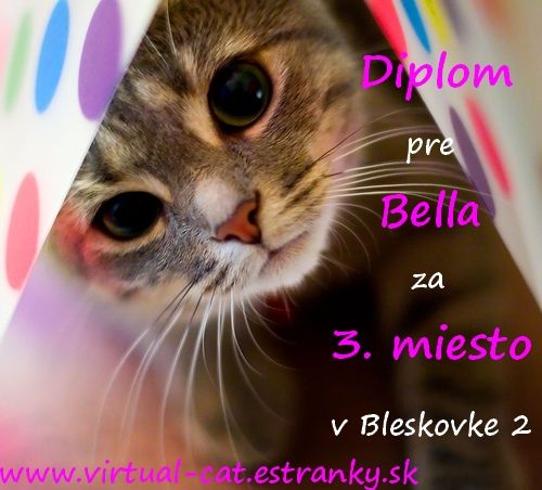 Bella_Bleskovka_2.jpg